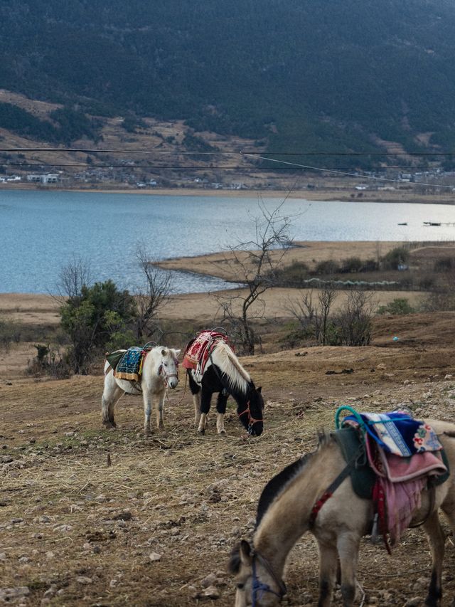 前往有風的地方過冬天 |雲南親子自駕
