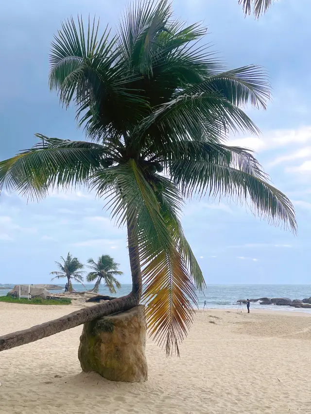 Wenchang Exclusive Niche Beach - Qishui Bay