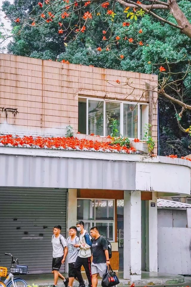 廣州拍照·離開廣州前一定要去一次陵園西路！