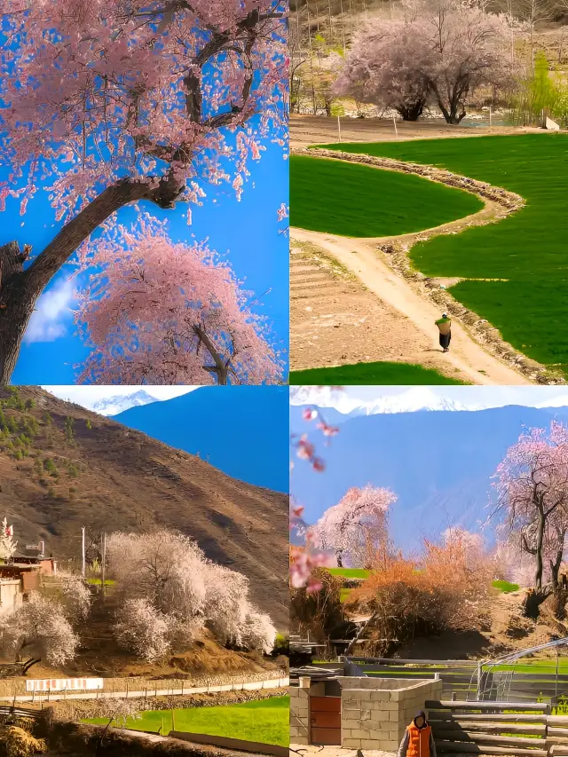 Early spring in Western Sichuan is a prose poem written by God for the human world