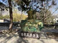 普度寺