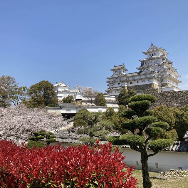 Magical Himeji castle