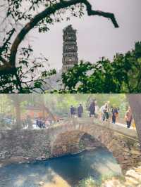 國清寺|國內最值得去的寺廟溯源千年清雅