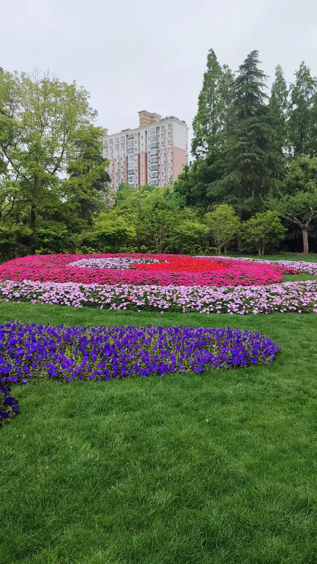 Jinqiao Park, also has a "Rose Wall", 5