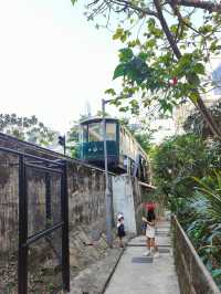 香港親子遊 太平山纜車俯瞰維多利亞美景