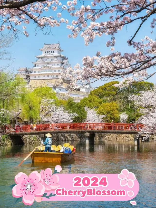 Japanese Sakura Appreciation, World Heritage🌸