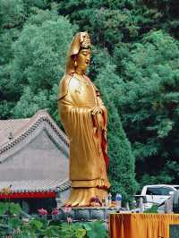 沈陽旅遊｜適合陪父母燒香祈福的明代古剎－向陽寺