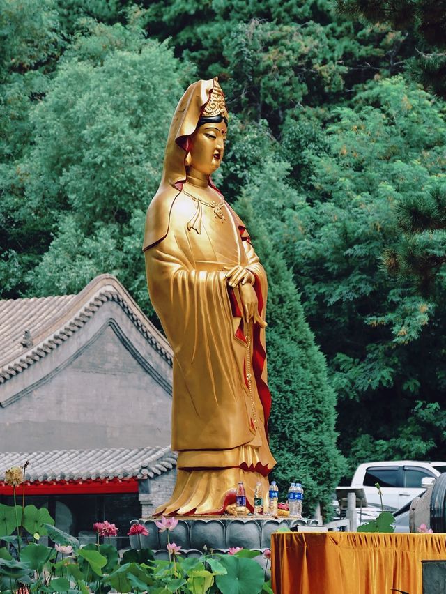 沈陽旅遊｜適合陪父母燒香祈福的明代古剎－向陽寺