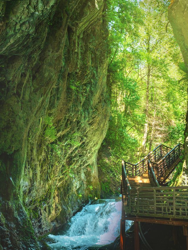 小眾地川西 | 高山峽谷森林徒步 看瀑布