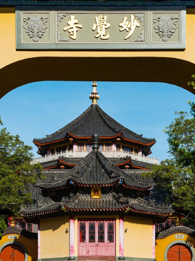深圳小眾徒步森林，真的太美了～