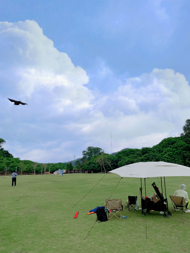 城市公園圖鑑｜去10000萬次都不夠深莞交界處的森林秘境