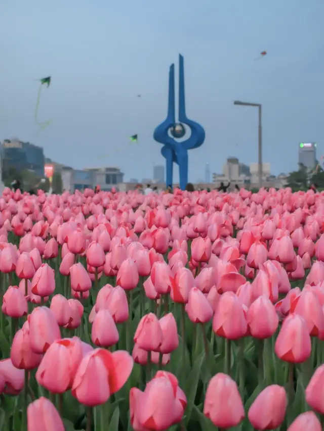 济南の泉城広場のチューリップの花海は本当に写真映えしますね