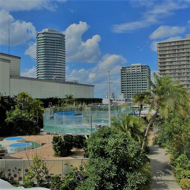 【東京陽光水族館】- 帶你穿越海洋的神奇之旅！