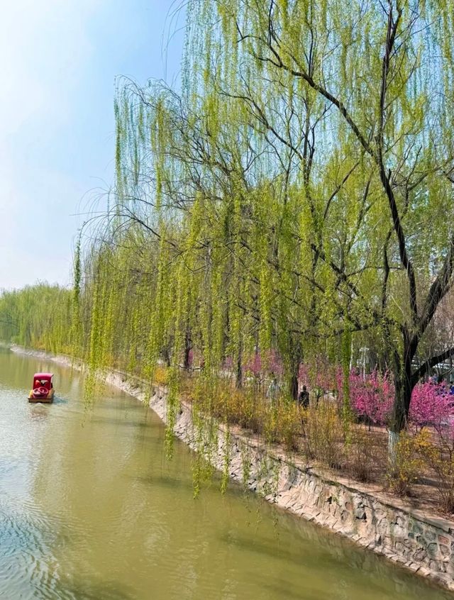 開往春天的小火車｜逛公園遛娃兩不誤！