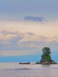 火爆日本關東7日旅遊保姆級攻略！