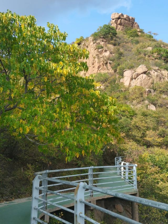 全球追秋|最美秋色大黑山