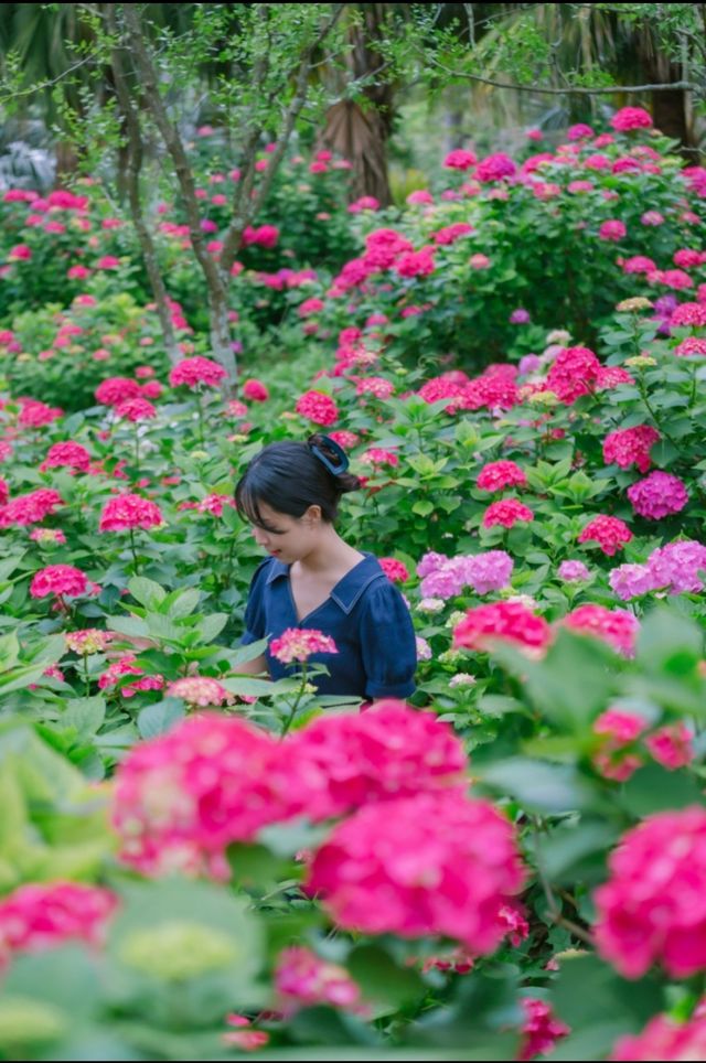 濟州島最美公園-翰林公園