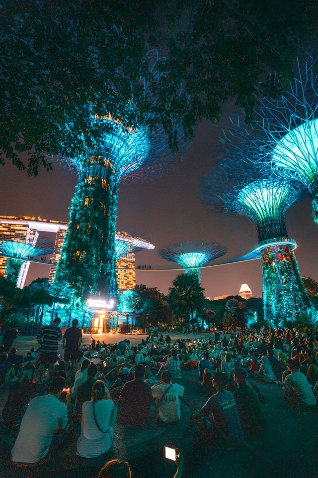 新加坡的樹會發光誒