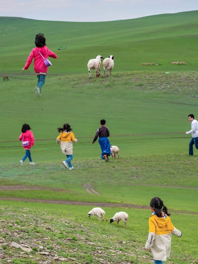 呼倫貝爾旅遊攻略|帶娃旅遊天花板呼倫貝爾