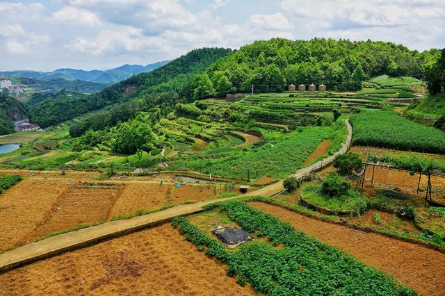 烏石村
