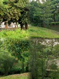 徐聞人民公園最佳遊玩攻略