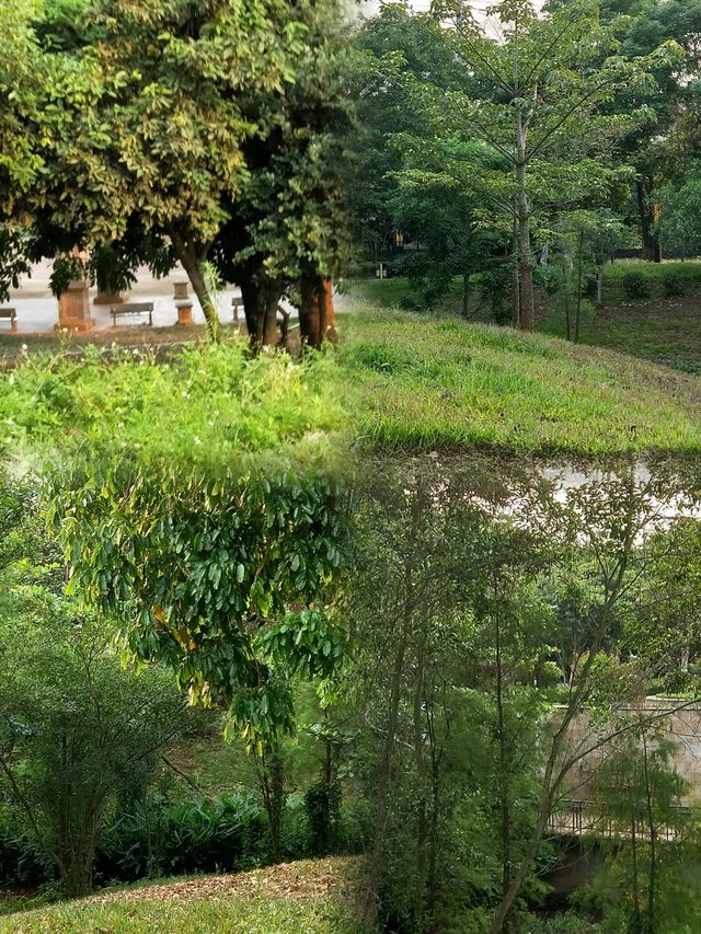 徐聞人民公園最佳遊玩攻略 徐聞人民公園最佳遊玩攻略