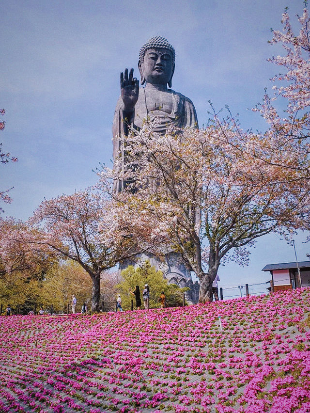 五一旅行隨性逛，東京周邊一日遊！