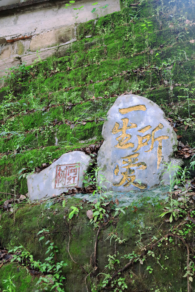 成都周邊遊｜射洪一日遊玩攻略