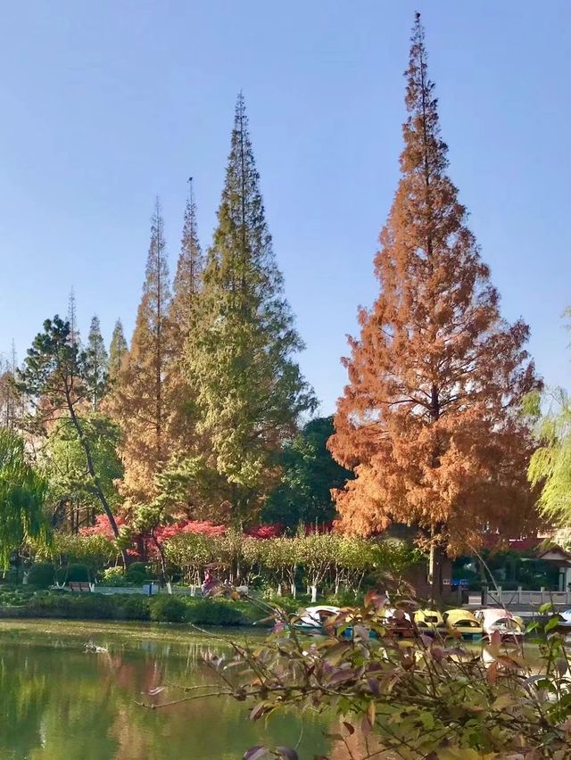 美麗上海紅園風景