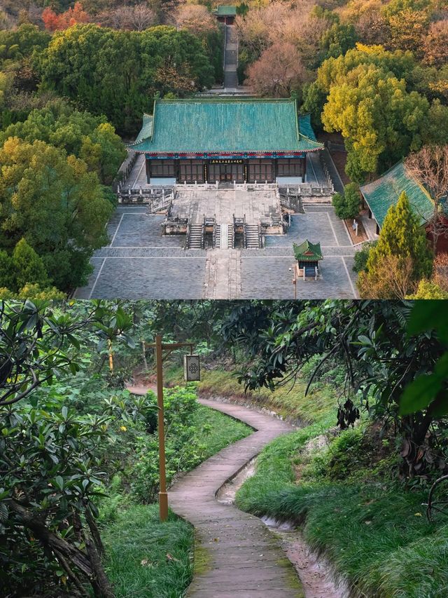 龍泉山裡一個人都可去的登山步道