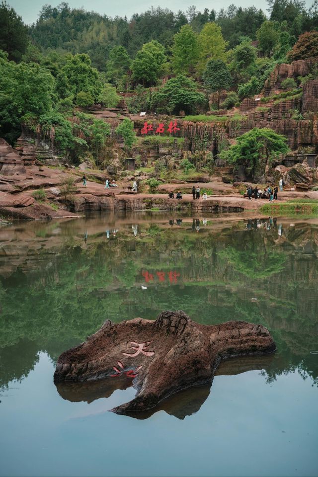 芙蓉鎮 | 管理混亂的仙境