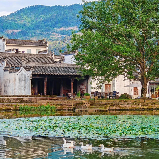Discovering Southern Anhui: Beyond Huangshan and Hongcun ✨ 
