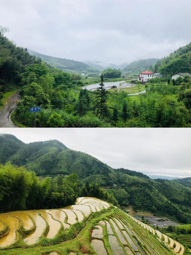 自然田園·上堡梯田