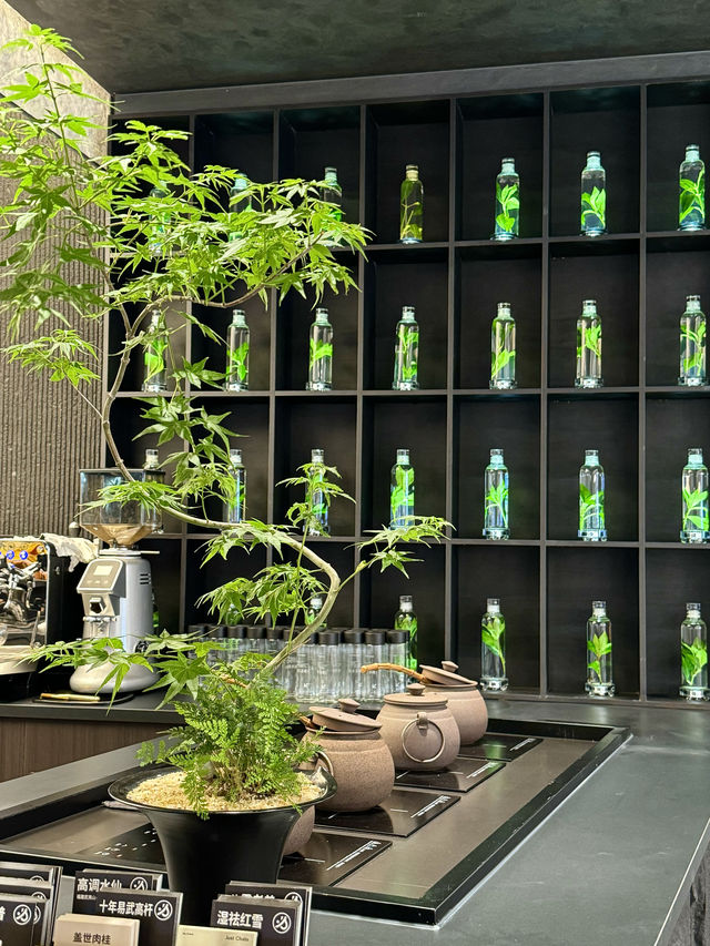 廈門的！！這家海邊茶館真的好chill～
