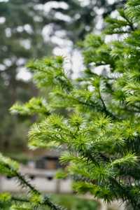 柳州融水 | 3H可達，找個週末去山裡放空