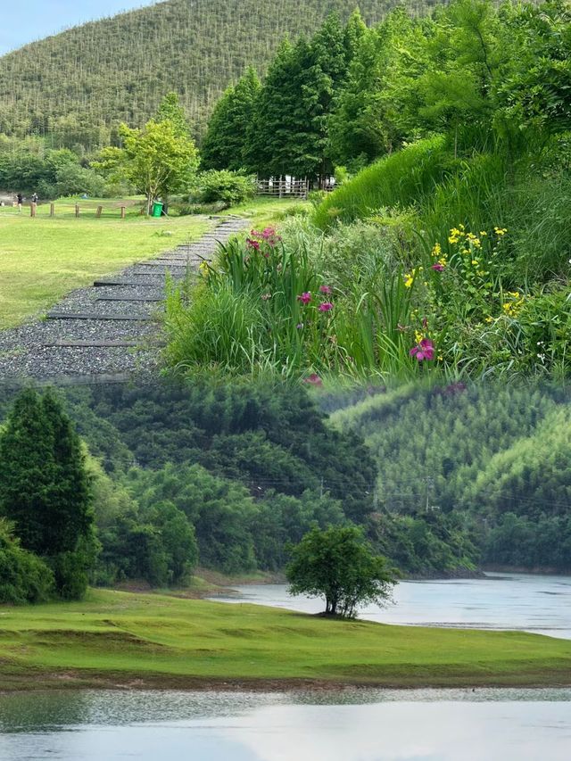 瘋傳朋友圈的神秘仙境！竟然藏在浙江，不是新疆！