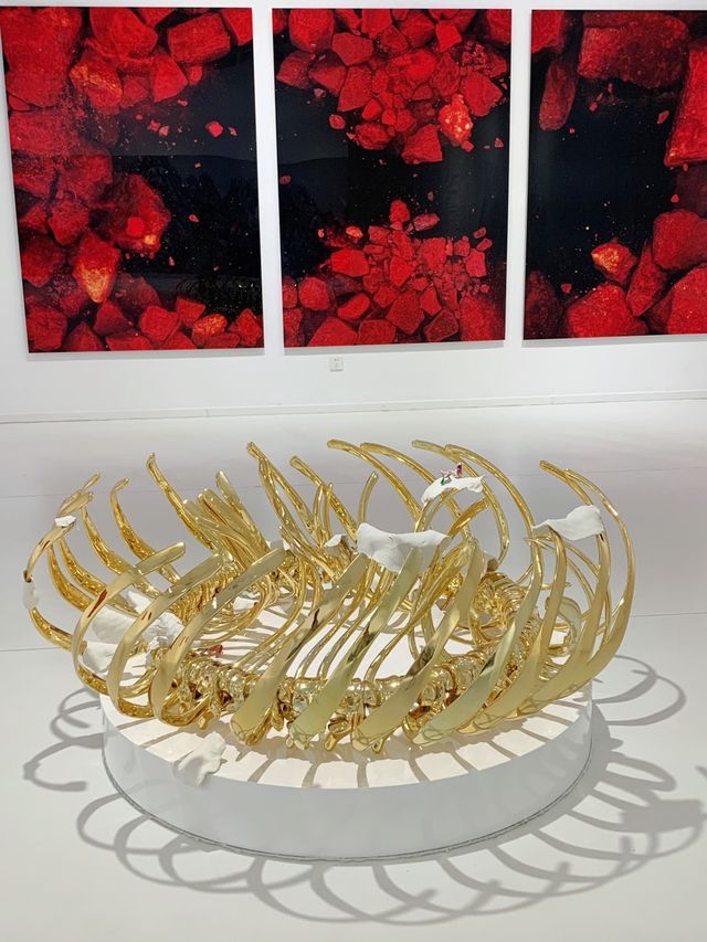 魔都免費看展，遠離地面