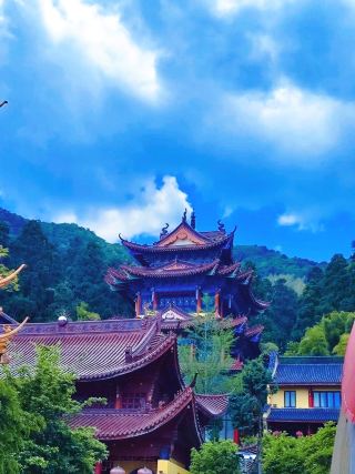 If you come to Hangzhou and don't visit the Tianmu Mountain, you'll regret it