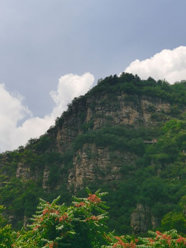 麟山探秘｜巔山千佛朝如來