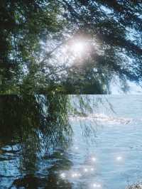長沙夏日避暑治癒好去處