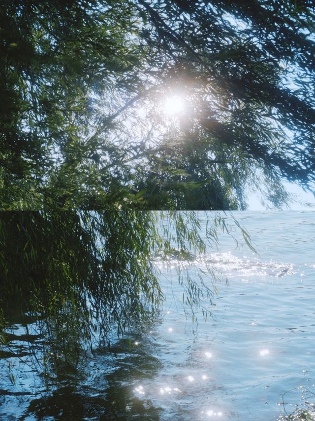 長沙夏日避暑治癒好去處
