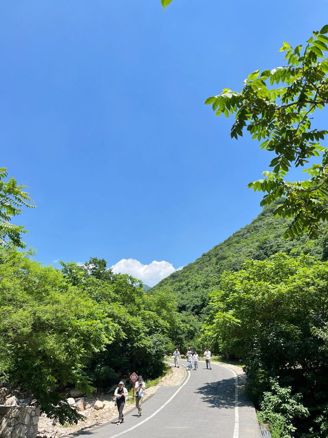 夏日避暑玩水的絕佳之地| 天津梨木台