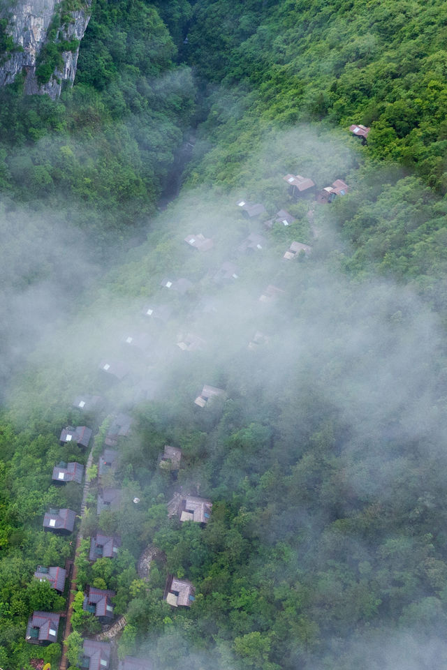 清涼地心谷，避暑絕佳處