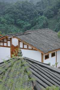 去雅安山里赴一場煙雨，尋一席靜謐，淋一身詩意