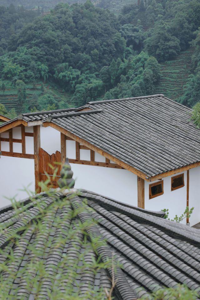 去雅安山里赴一場煙雨，尋一席靜謐，淋一身詩意