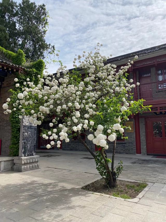 探秘古都遺珠,在西安草堂寺邂逅了一場千年禪意之旅 探秘古都遺珠,在西安草堂寺邂逅了一場千年禪意之旅