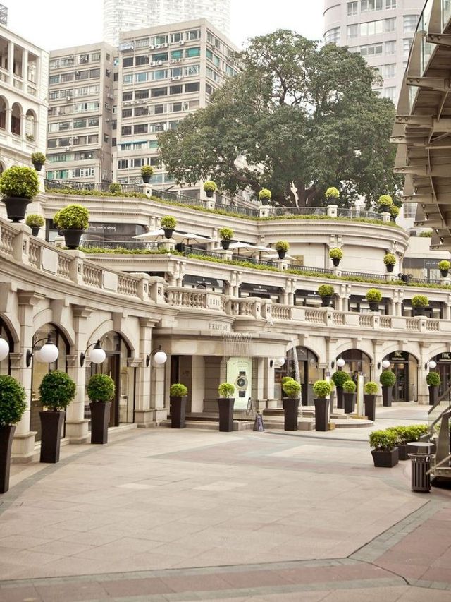🌟 Hong Kong's Oasis Avenue Hotel Highlights ✨