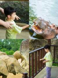 剛回來！！杭州野生動物世界夏日暢玩攻略
