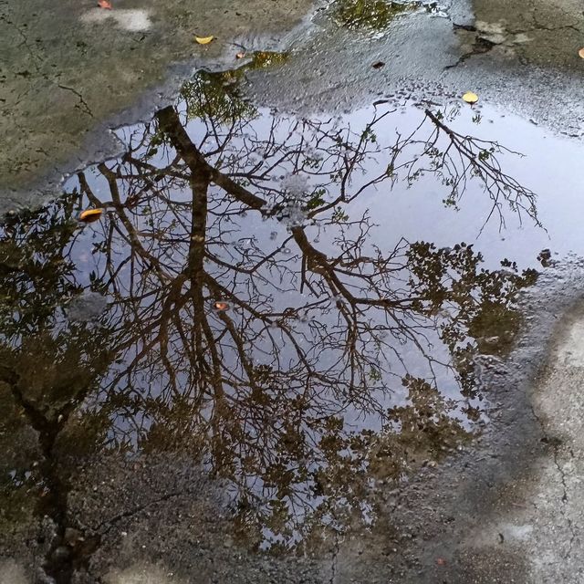 尋訪-韶城《肆拾陸》烈焰夕陽下的“中山公園”