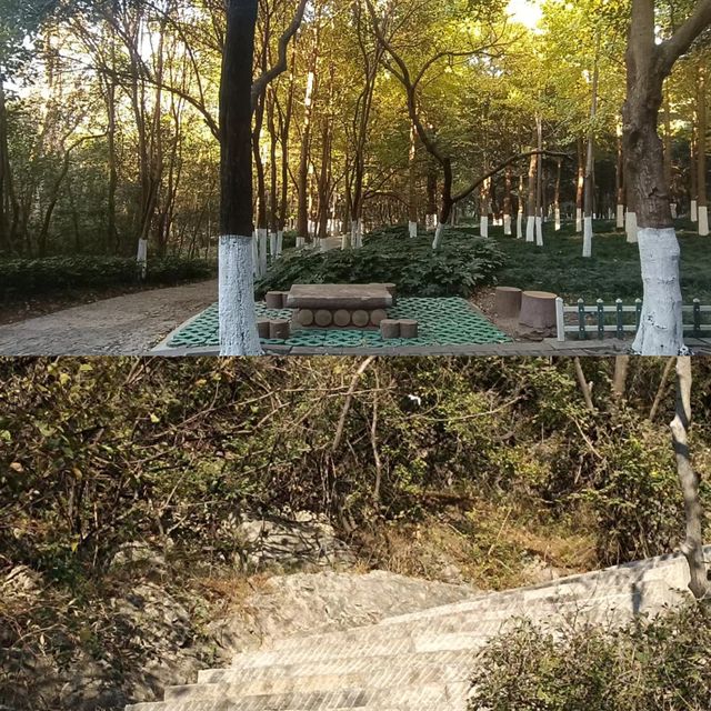 溜達好去處～淮北相山打卡